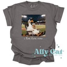 Load image into Gallery viewer, i live here now baseball goose