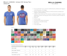 Load image into Gallery viewer, BCVA new systems VA community care

