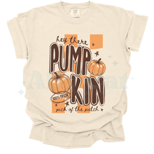 Load image into Gallery viewer, hey there pumpkin
