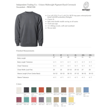Load image into Gallery viewer, throwback mascot spiritwear
