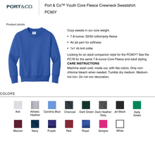 Load image into Gallery viewer, oversized school spirit &amp; mascots (YOUTH)
