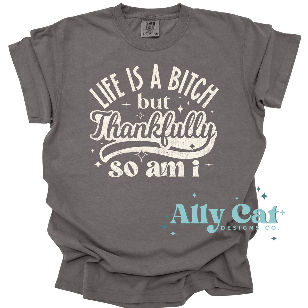 life is a bitch, but thankfully so am i