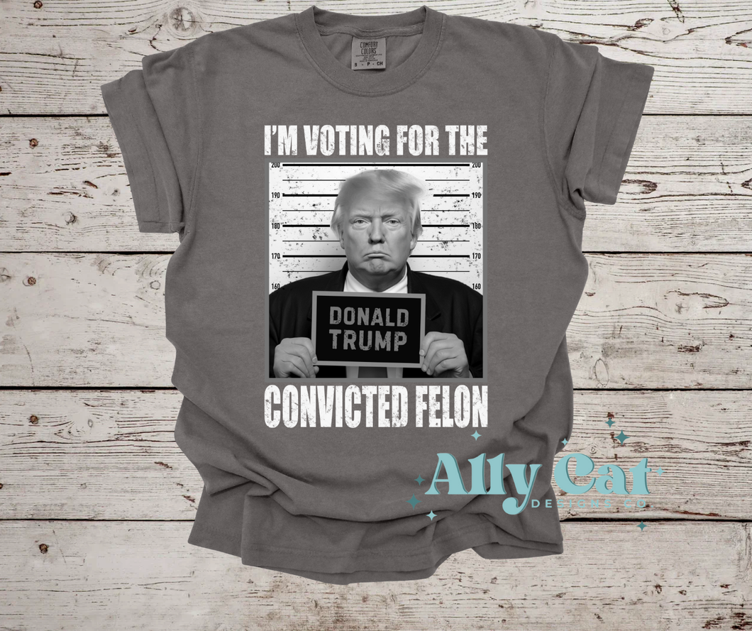 im voting for the convicted felon