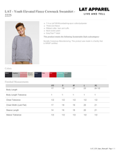 Load image into Gallery viewer, Monster Truck Personalization Toddler/Youth Tee or crewneck
