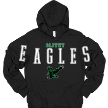 Load image into Gallery viewer, olivet cheer team shirts
